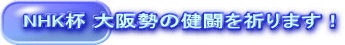 祝 新体操 9/17 3位入賞（30点）
